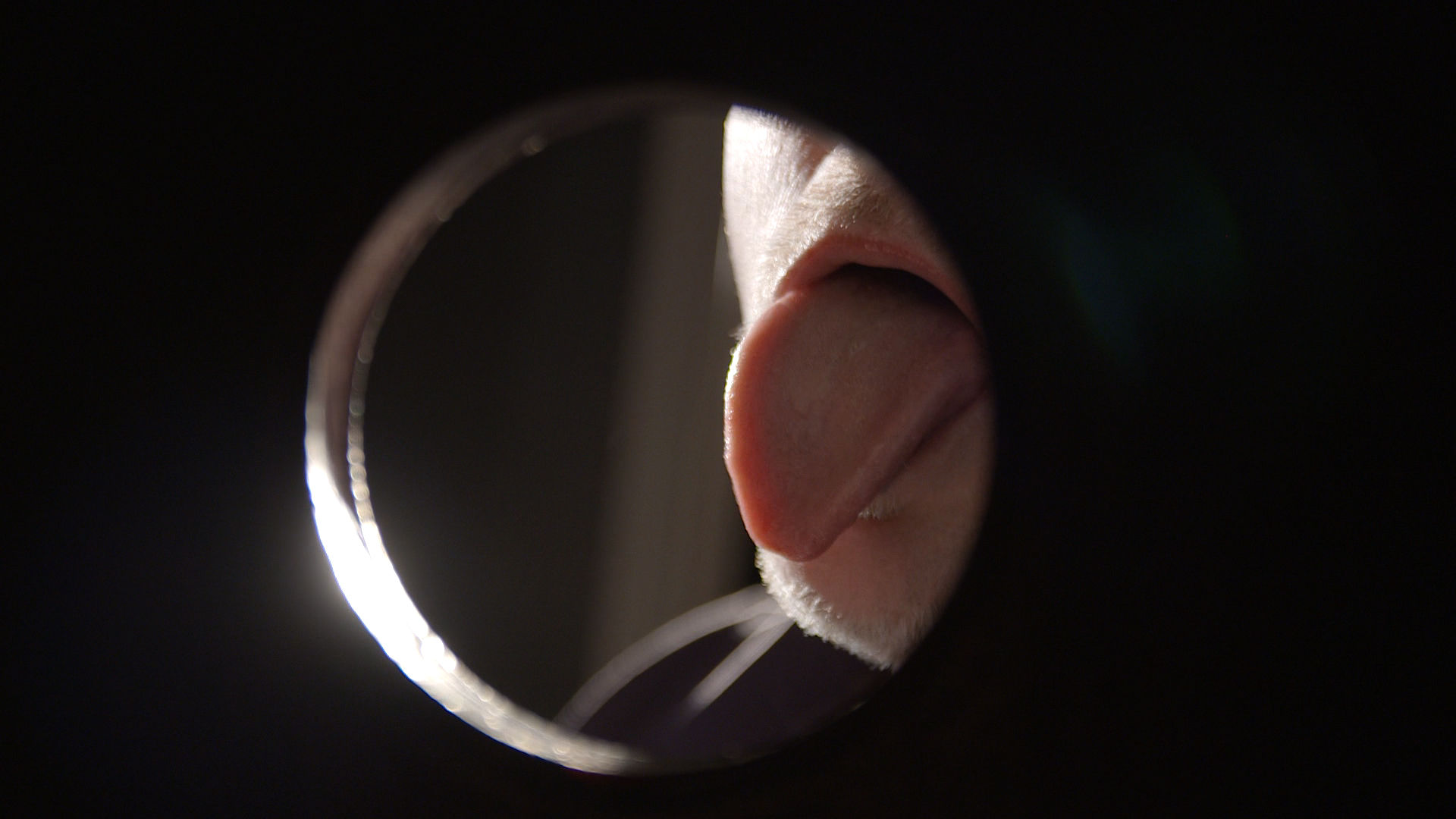 Stockholm, Avsugning, Glory hole, sex